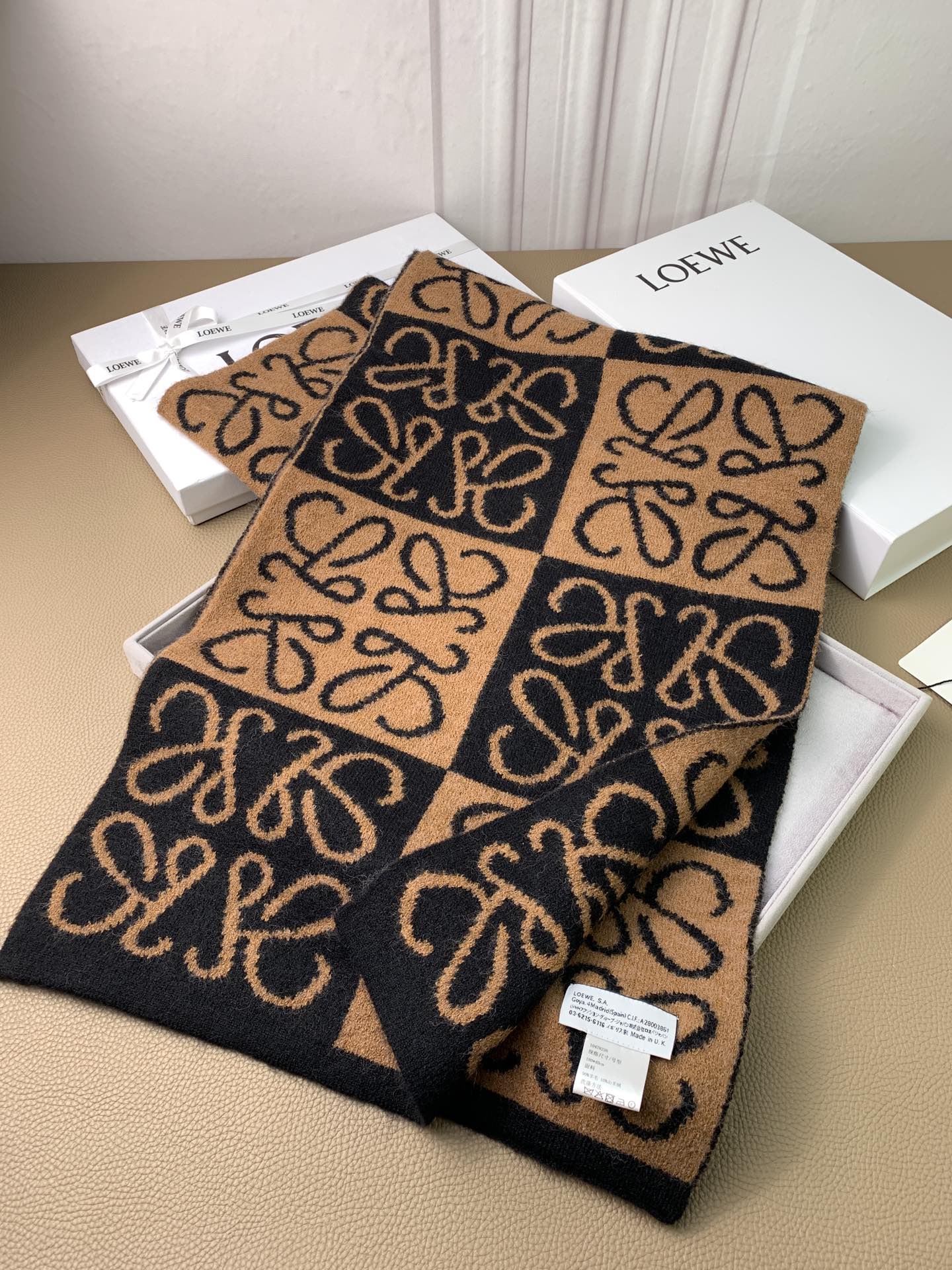 LOEWE 26S SCARF 190 IN CASHMERE 130194