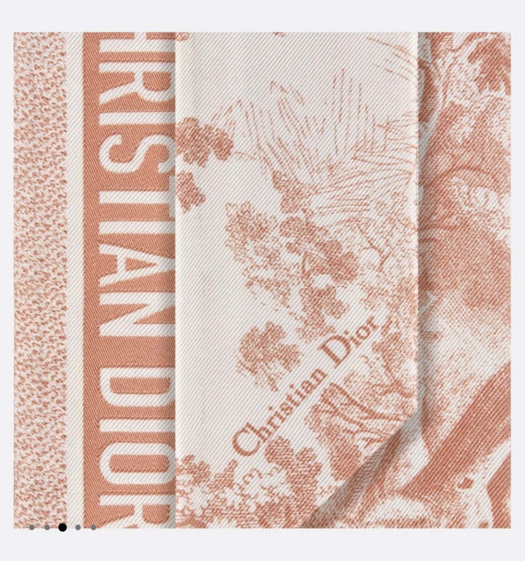 DIOR 26S SCARF 105CM IN SILK 311648