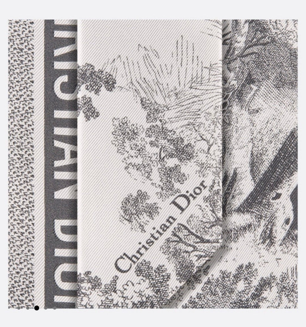 DIOR 26S SCARF 105CM IN SILK 311647