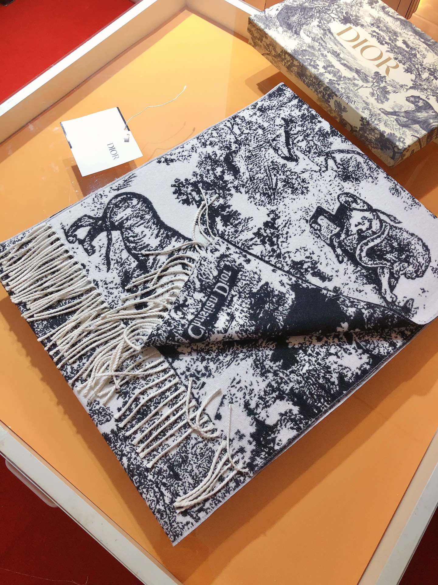DIOR 26S SCARF 200CM IN CASHMERE 123457