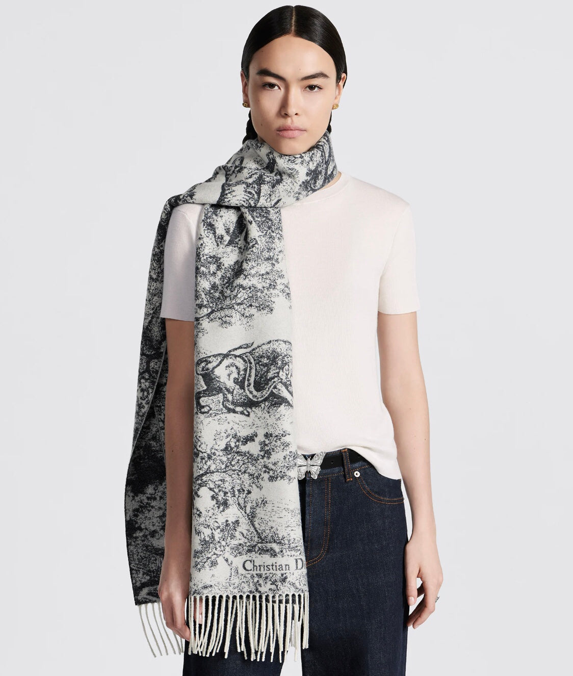 DIOR 26S SCARF 200CM IN CASHMERE 123457