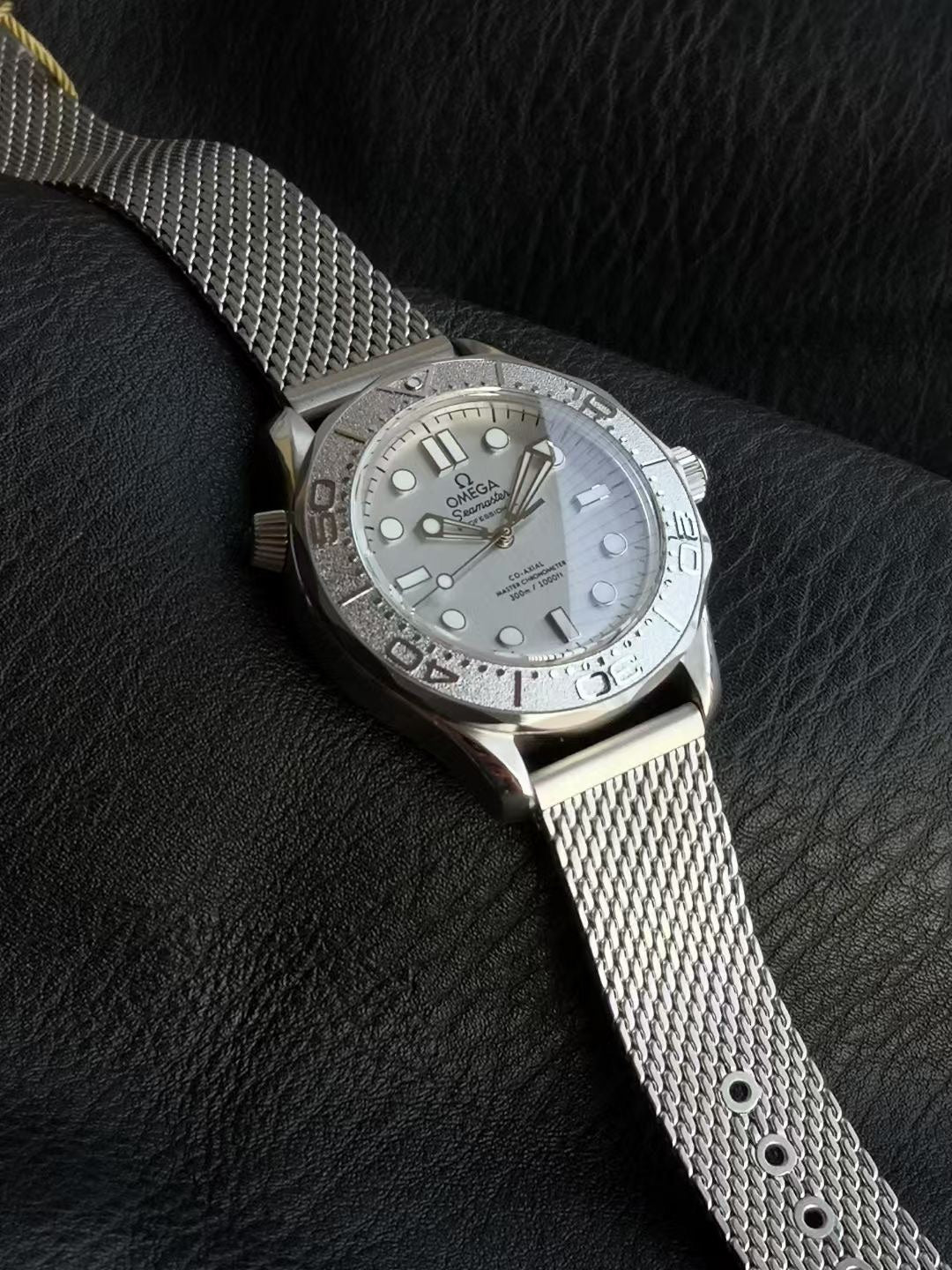 SEAMASTER DIVER 300M SILVER CASE WITH BRUSHED MESH BRACELET WITH CLASP