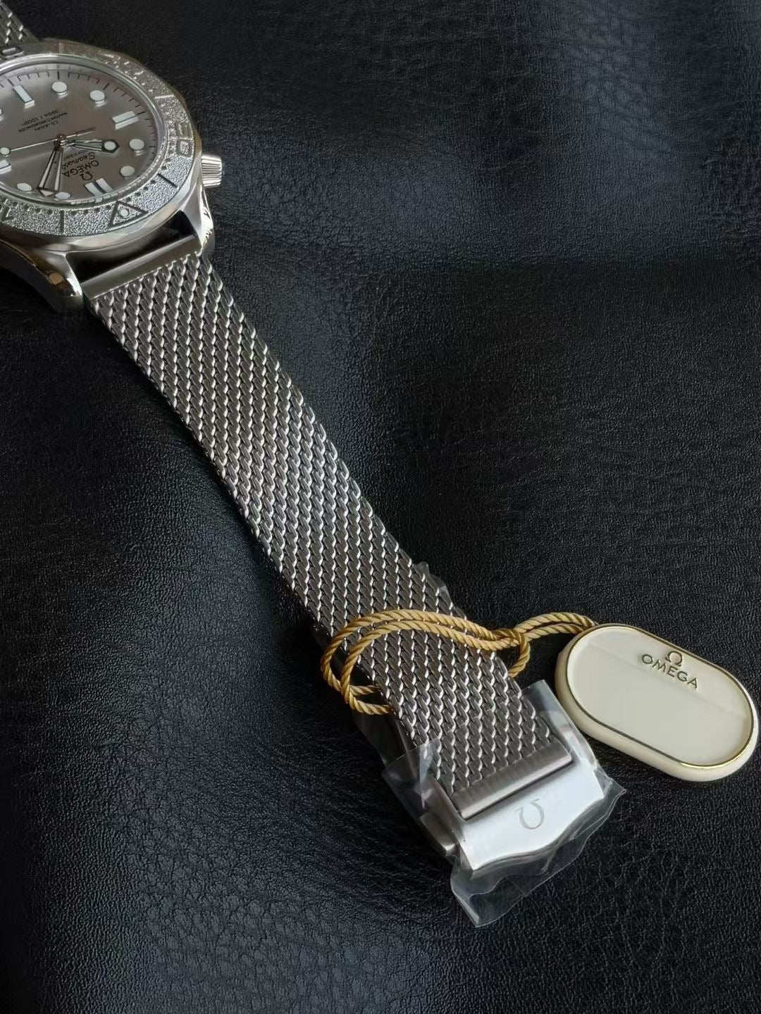 SEAMASTER DIVER 300M SILVER CASE WITH BRUSHED MESH BRACELET WITH CLASP