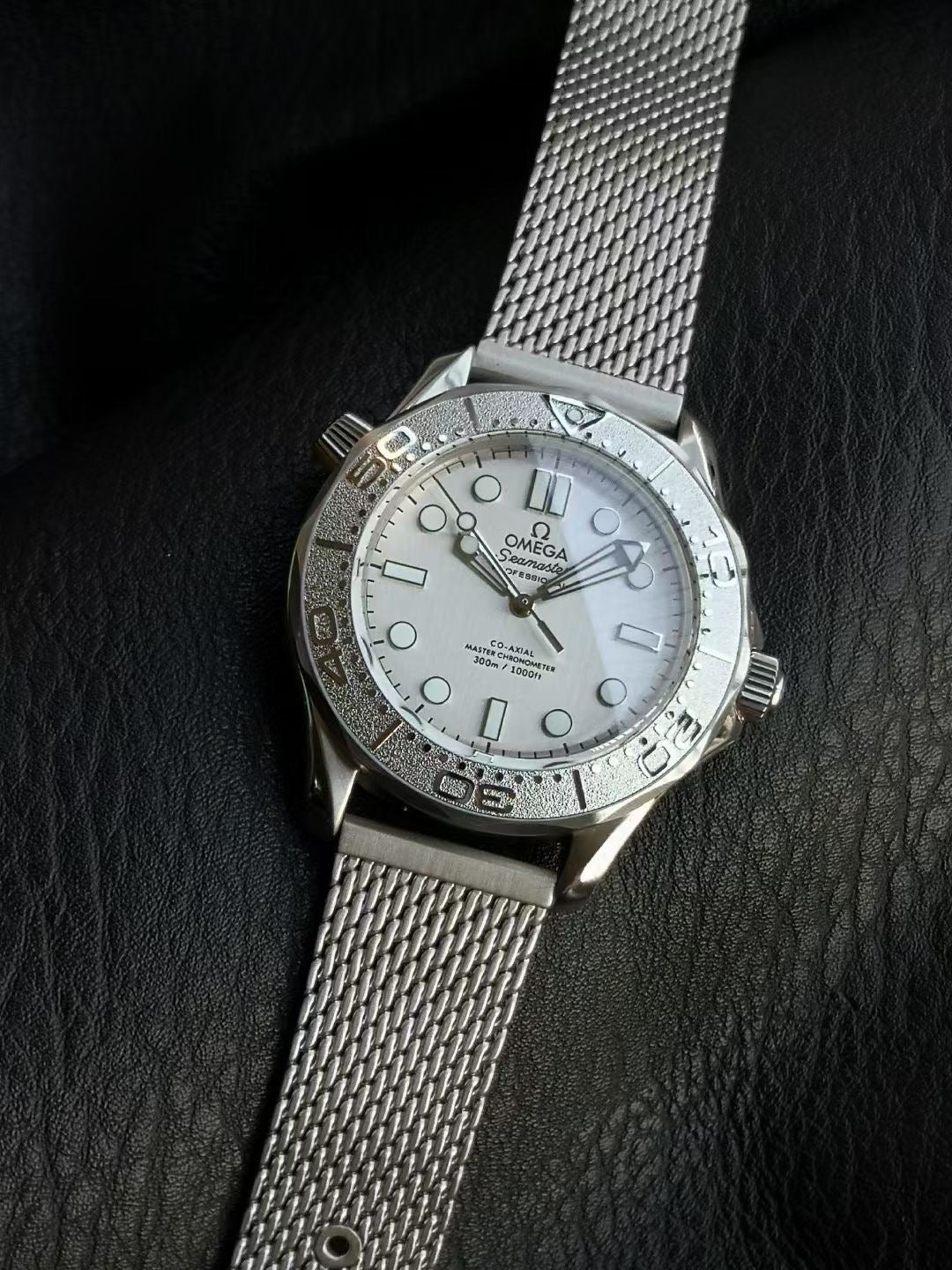 SEAMASTER DIVER 300M SILVER CASE WITH BRUSHED MESH BRACELET WITH CLASP