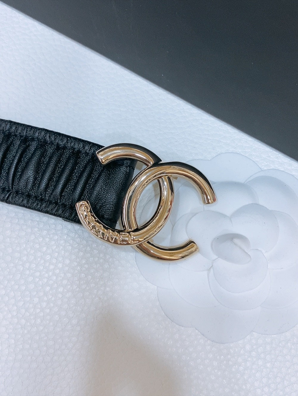 DOUBLE C ELASTIC BELT 30MM IN BLACK CANVAS GOLD HARDWARE EMBOSSED LOGO