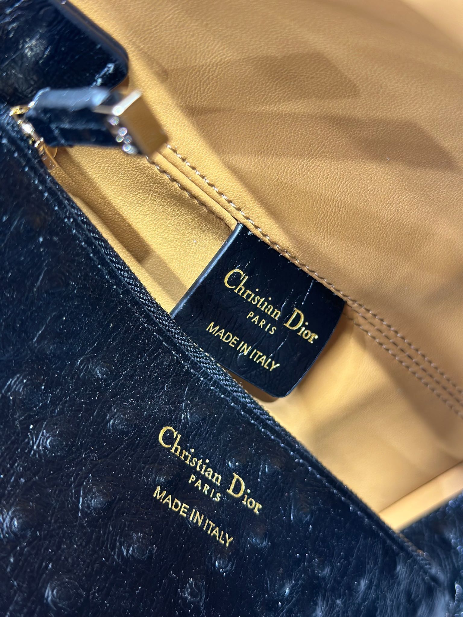 DIOR 26S TOUJOURS BAG 28 IN BLACK OSTRICH