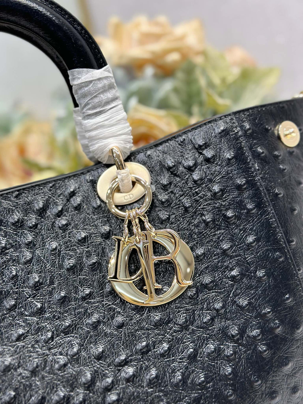 DIOR 26S TOUJOURS BAG 28 IN BLACK OSTRICH
