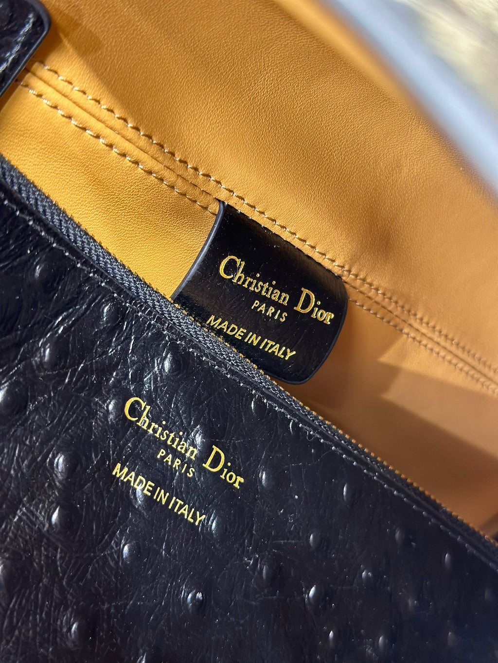 DIOR 26S TOUJOURS BAG 37 IN BLACK OSTRICH