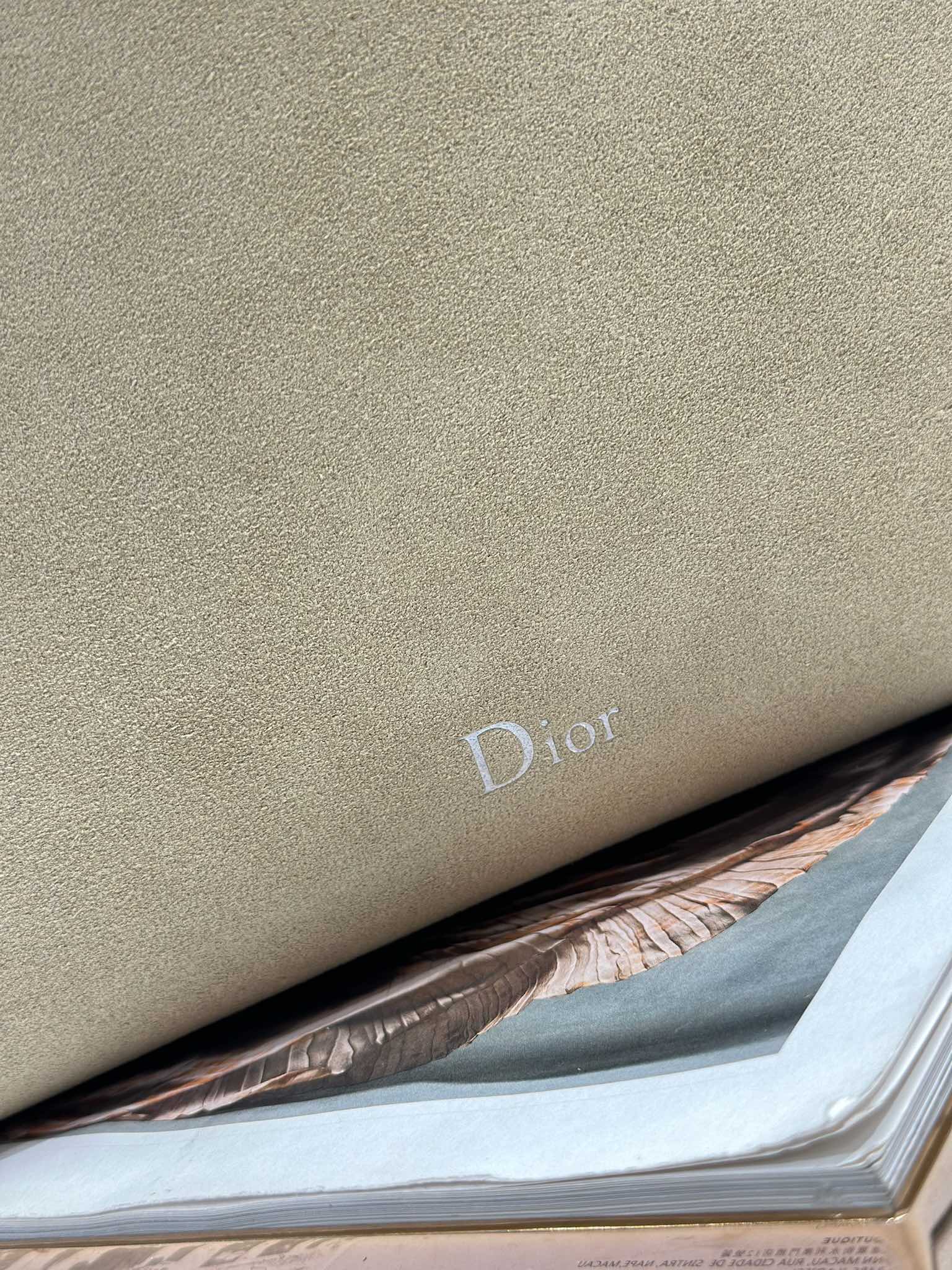 DIOR 26S DIORLY BAG 39 IN BEIGE SUEDE