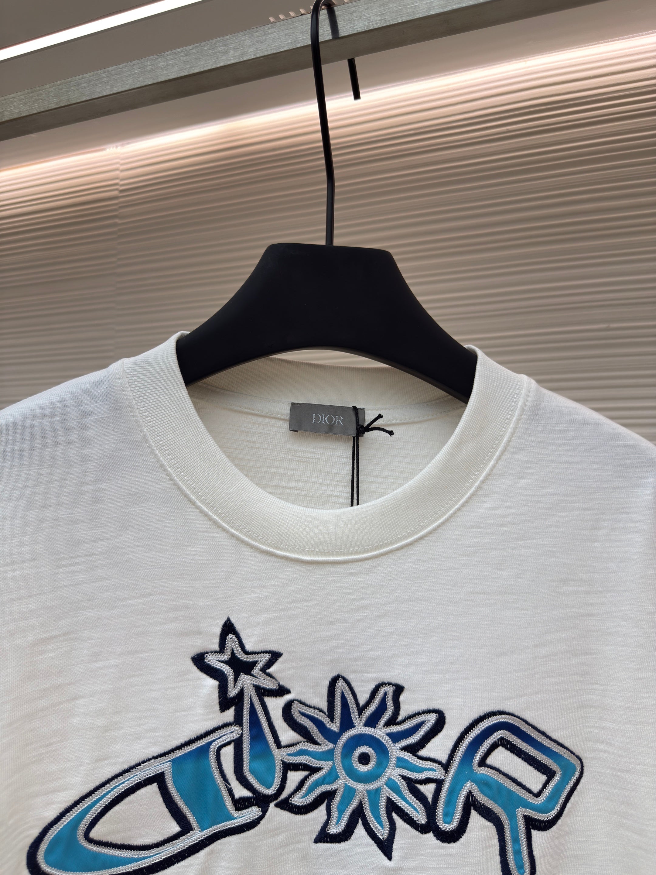 DIOR LEWIS HAMILTON T-SHIRT IN WHITE AND BLUE GRAPHIC LOGO