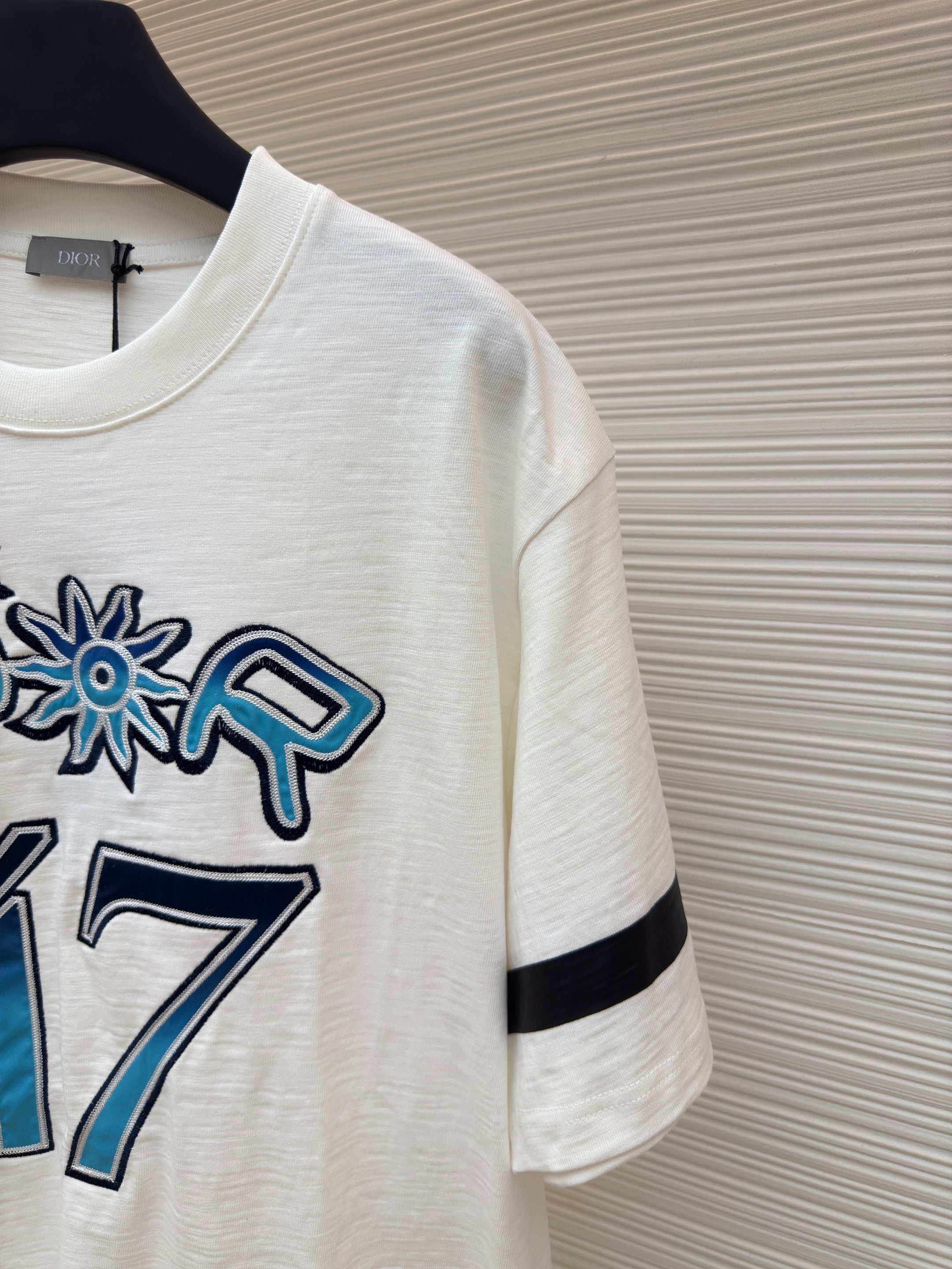 DIOR LEWIS HAMILTON T-SHIRT IN WHITE AND BLUE GRAPHIC LOGO