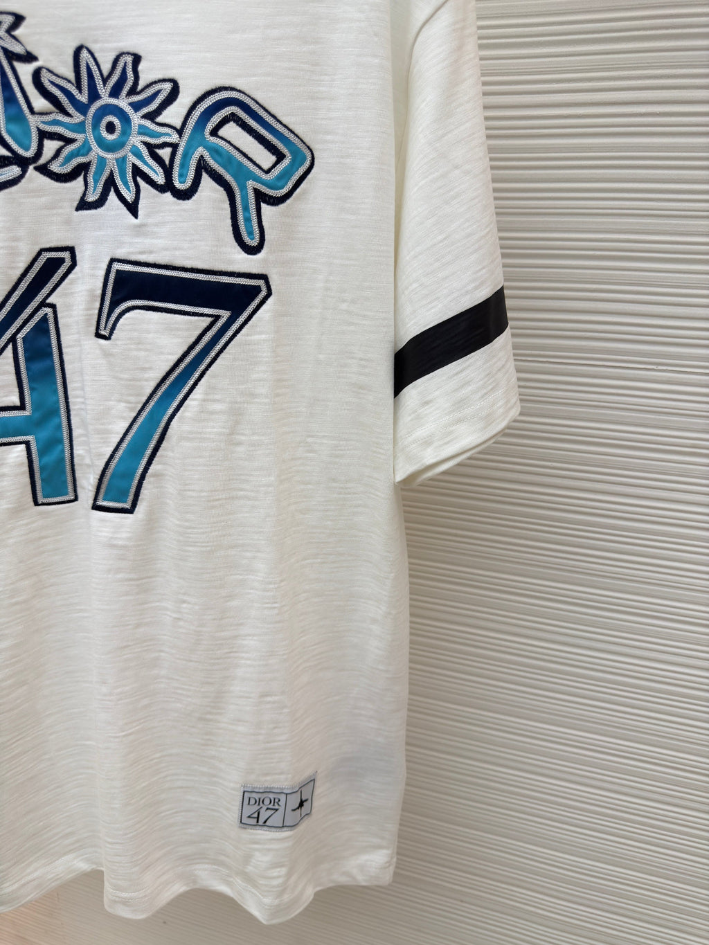 DIOR LEWIS HAMILTON T-SHIRT IN WHITE AND BLUE GRAPHIC LOGO