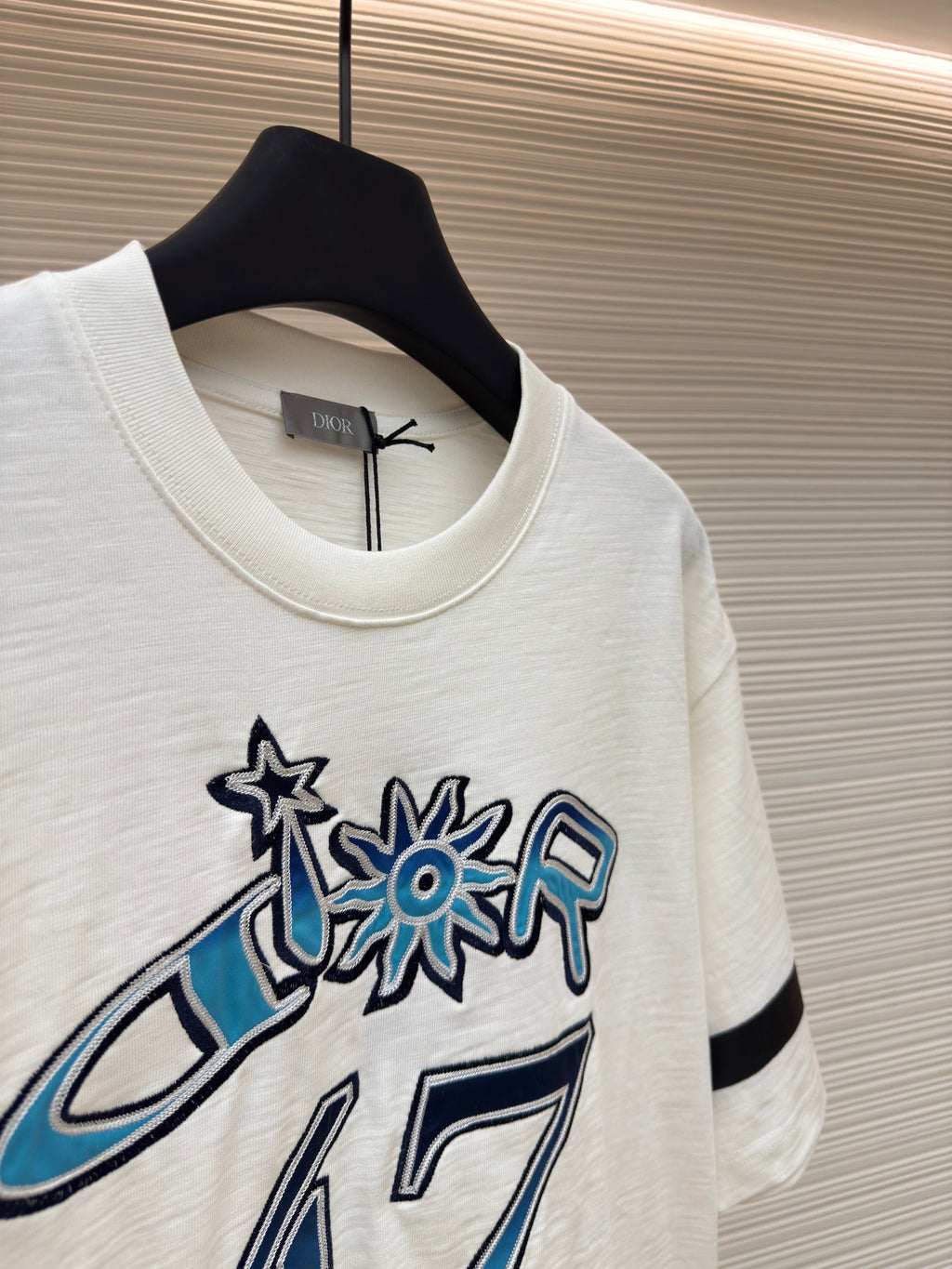 DIOR LEWIS HAMILTON T-SHIRT IN WHITE AND BLUE GRAPHIC LOGO