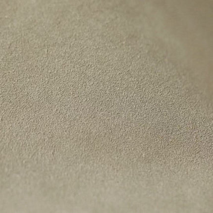 DIOR 26S HOBO BAG IN BEIGE SUEDE