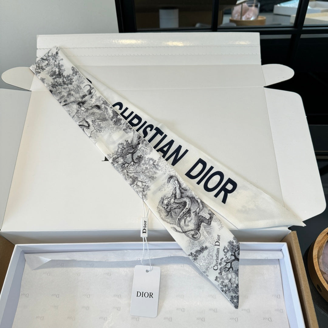 DIOR 26S SCARF 105CM IN SILK 304000