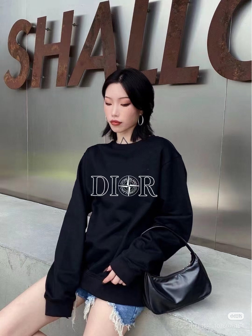 DIOR 26S SWEATSHIRT 1016