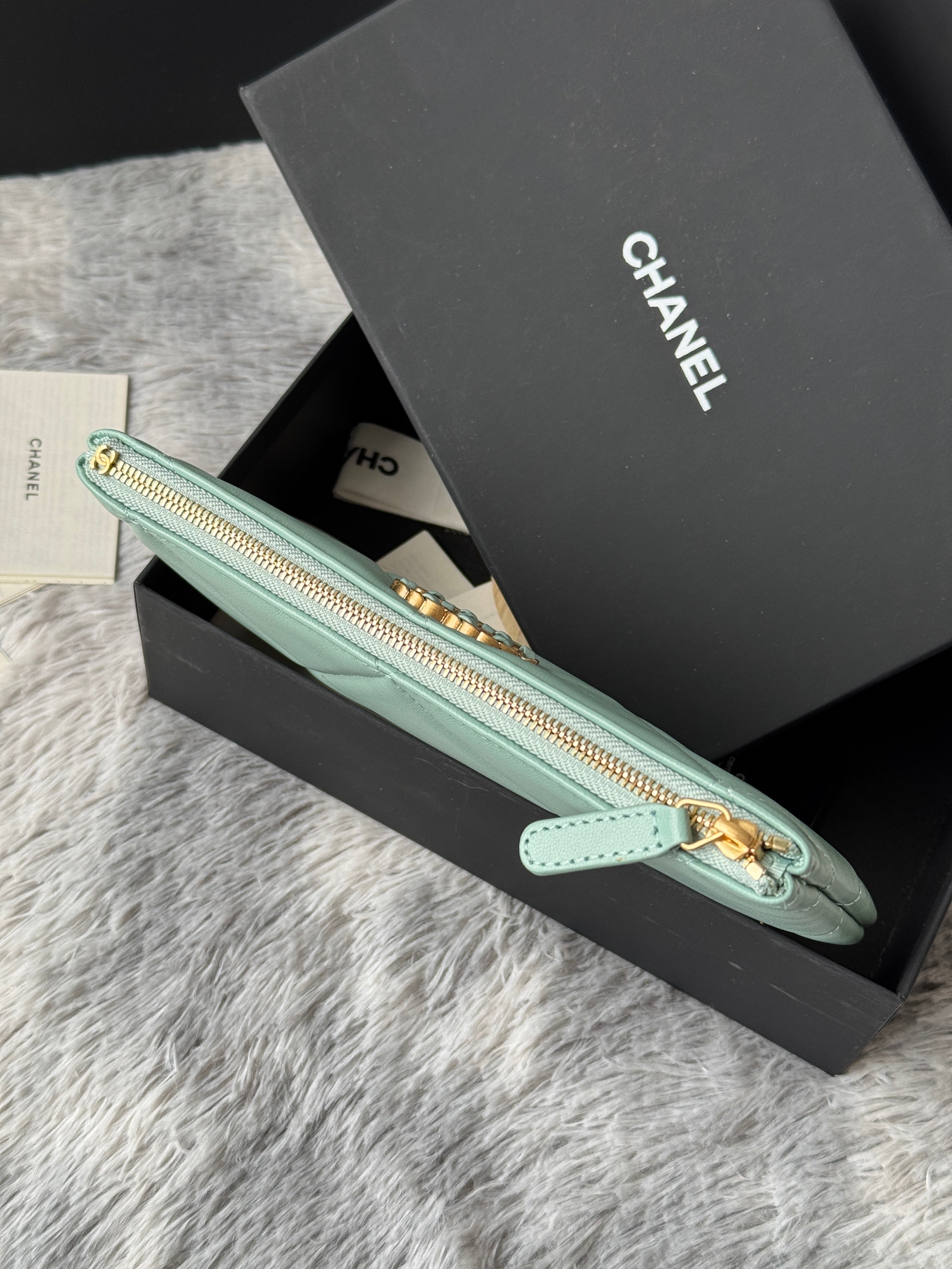 CLASSIC ZIPPER POUCH 20 IN BABY GREEN SMOOTH LAMBSKIN GOLD-TONE HARDWARE