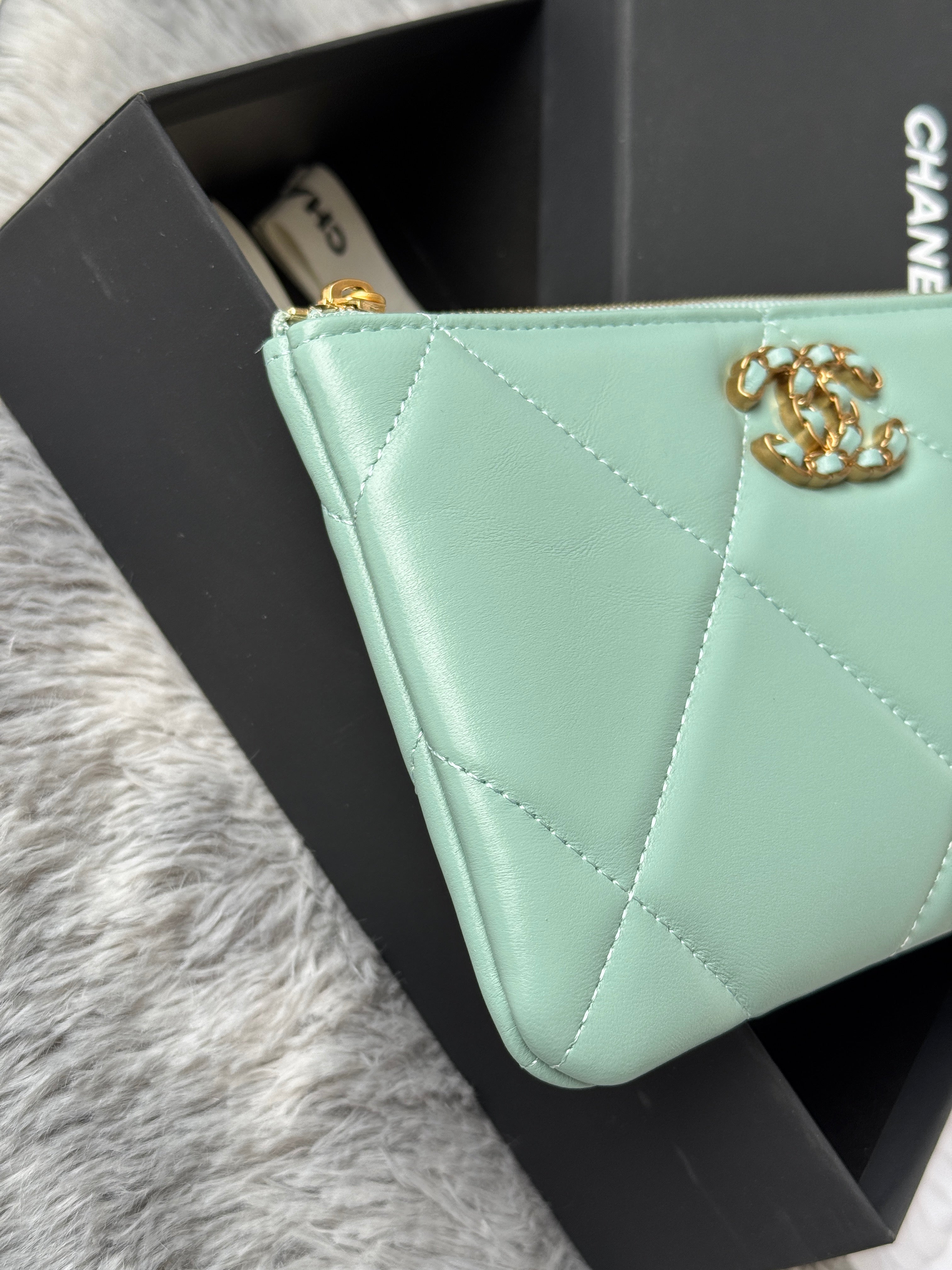 CLASSIC ZIPPER POUCH 20 IN BABY GREEN SMOOTH LAMBSKIN GOLD-TONE HARDWARE