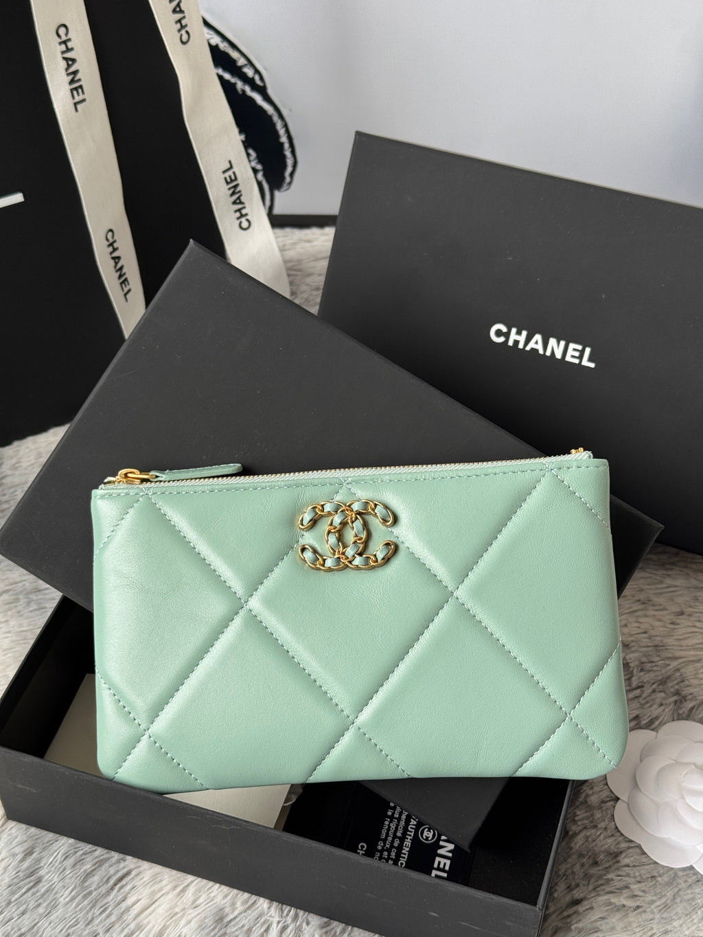 CLASSIC ZIPPER POUCH 20 IN BABY GREEN SMOOTH LAMBSKIN GOLD-TONE HARDWARE