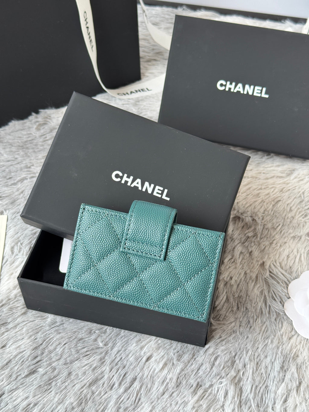 CARD HOLDER 10 CIRCLE CLASP IN NEPTUNE GREEN CAVIAR LEATHER GOLD-TONE METALLIC