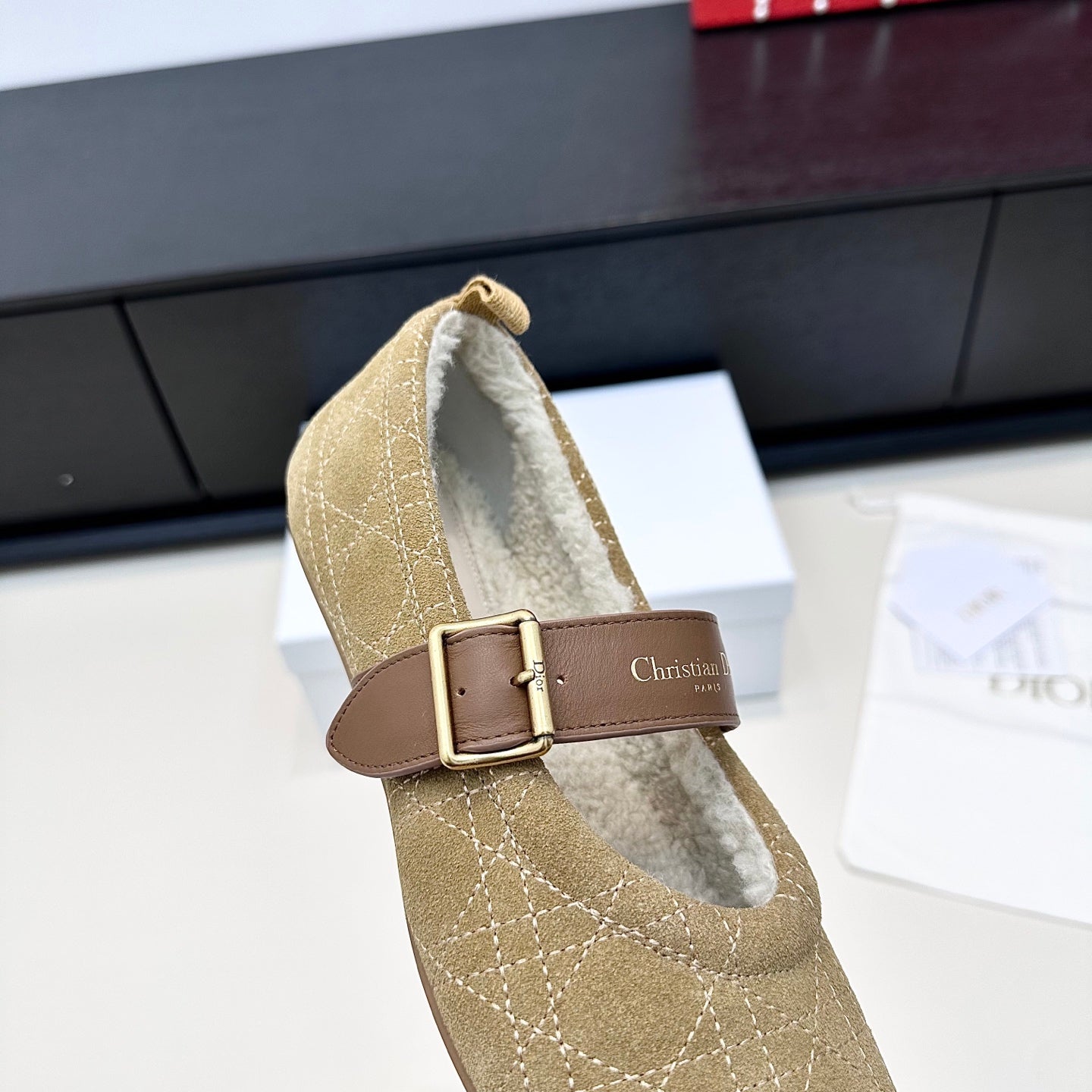 DIOR 26S FROST BALLET FLAT IN LIGHT BROWN CANNAGE SUEDE AND CALFSKIN