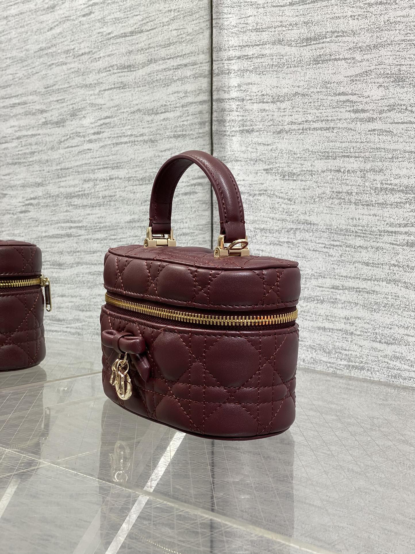 DIOR 26S MINI VANITY 17 IN BURGUNDY LAMBSKIN