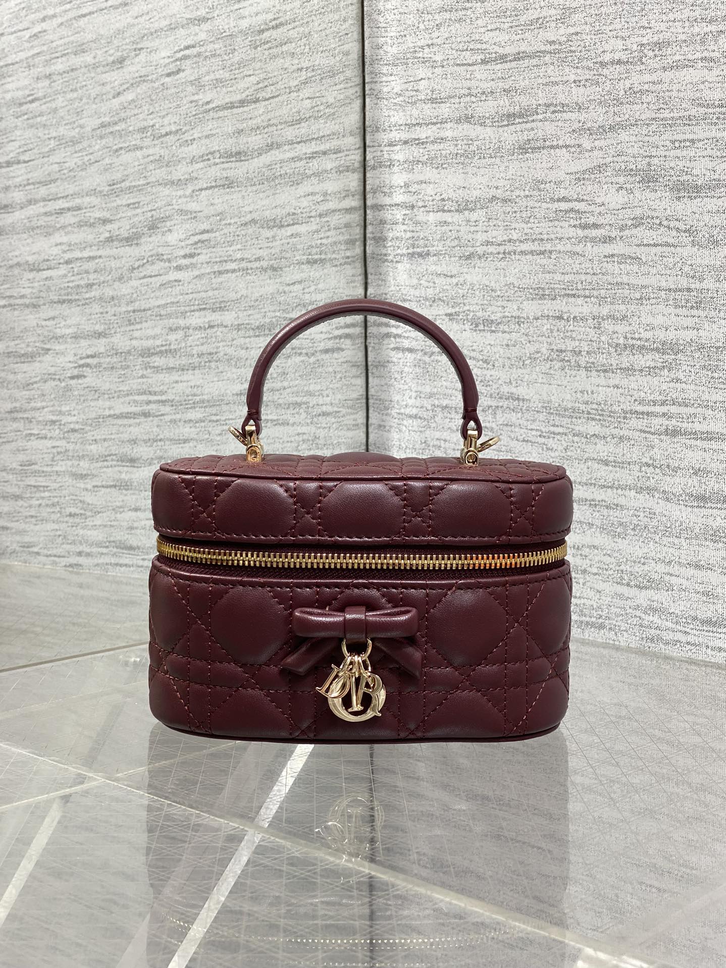 DIOR 26S MINI VANITY 17 IN BURGUNDY LAMBSKIN