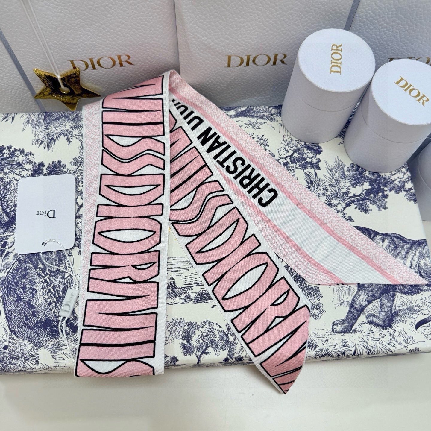 DIOR 26S SCARF 105CM IN SILK 259066