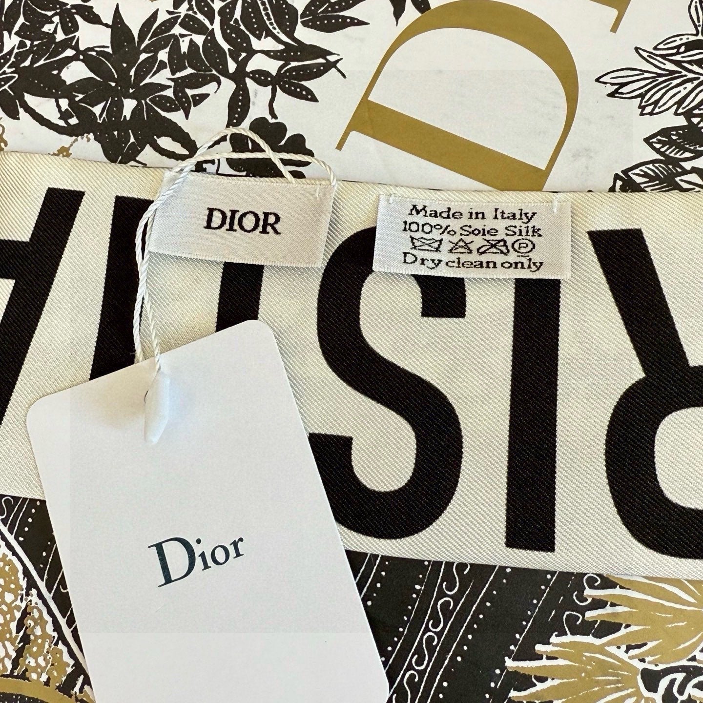 DIOR 26S SCARF 105CM IN SILK 297753