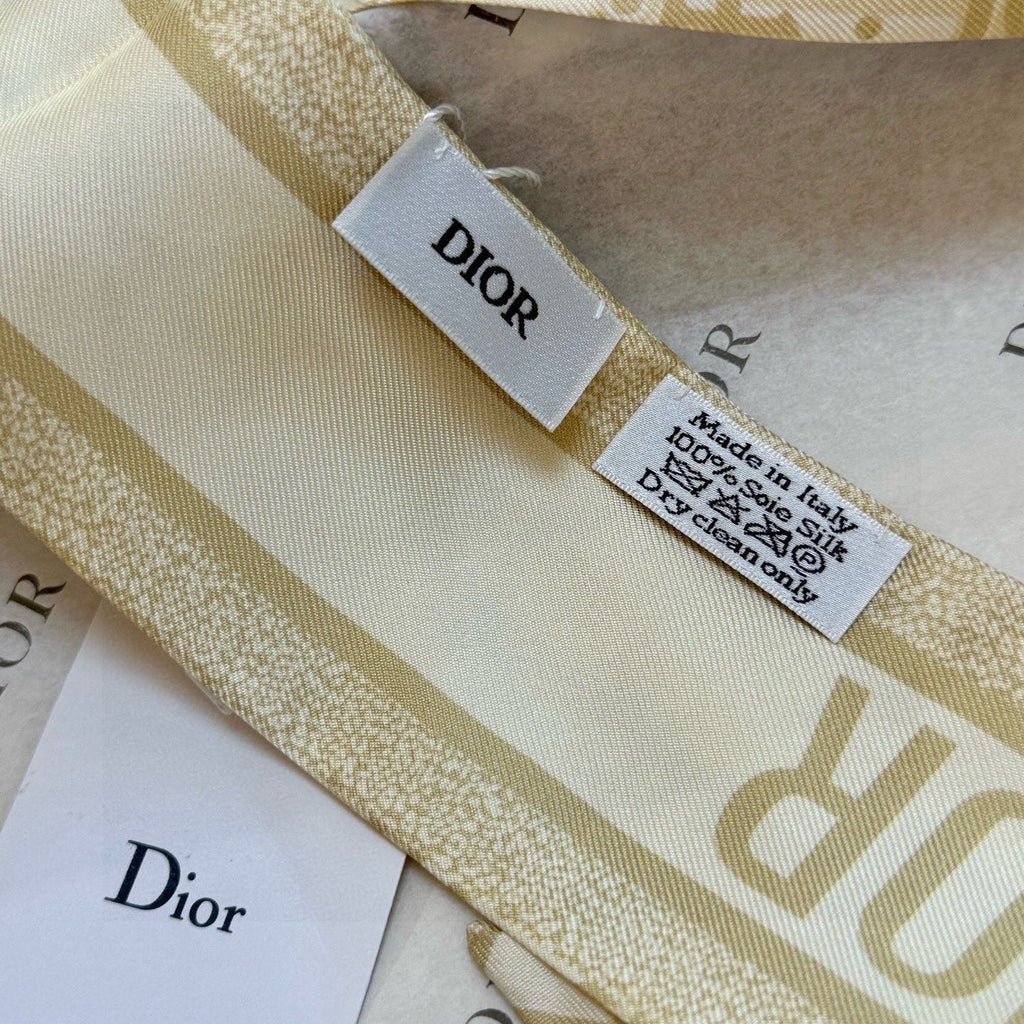 DIOR 26S SCARF 105CM IN SILK 302917