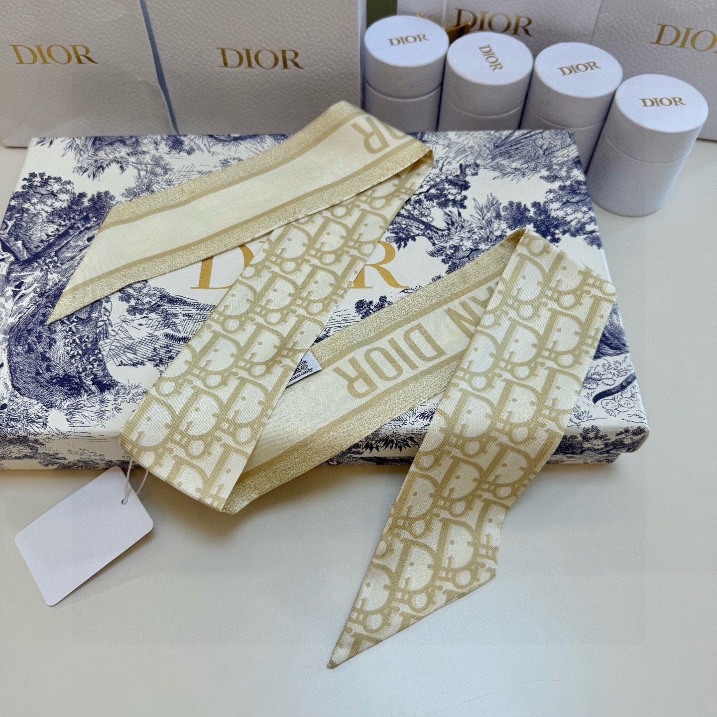 DIOR 26S SCARF 105CM IN SILK 302917