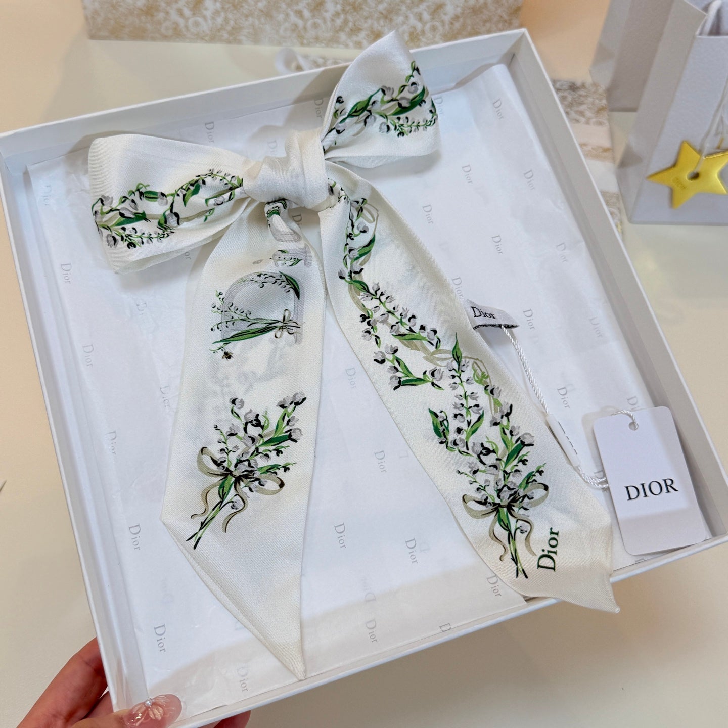 DIOR 26S SCARF 105CM IN SILK 304066