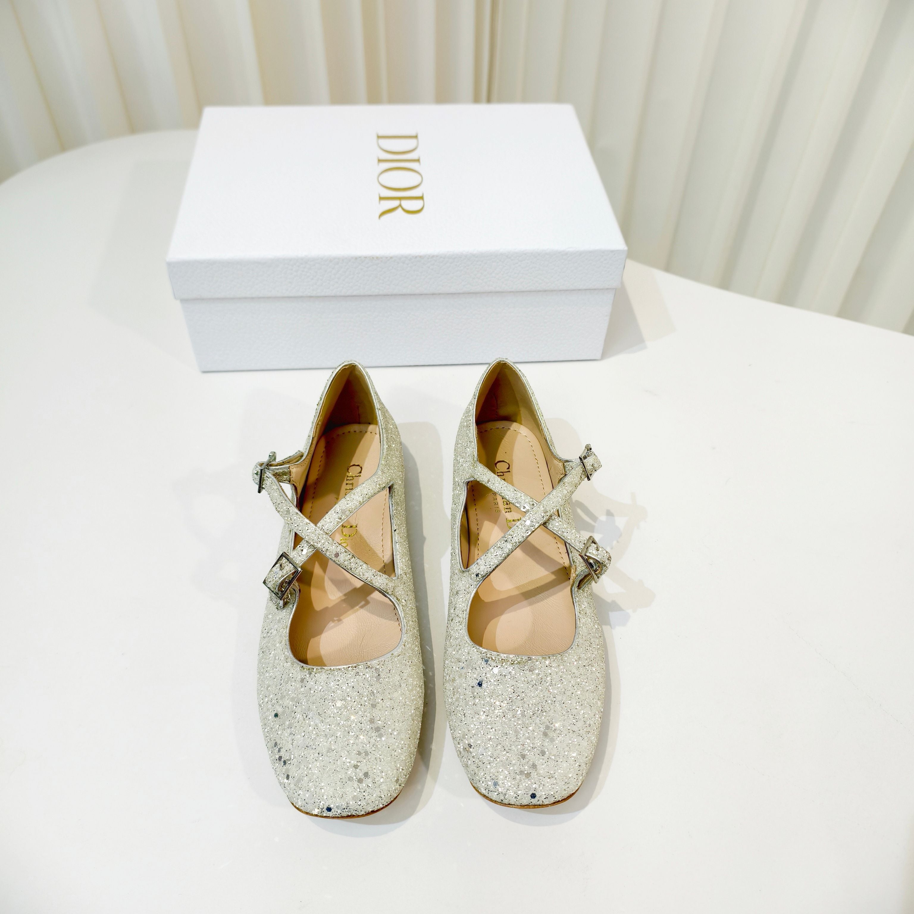 DIOR 26S MARY JANE FLATS IN SILVER SEQUIN EMBROIDERED FABRIC
