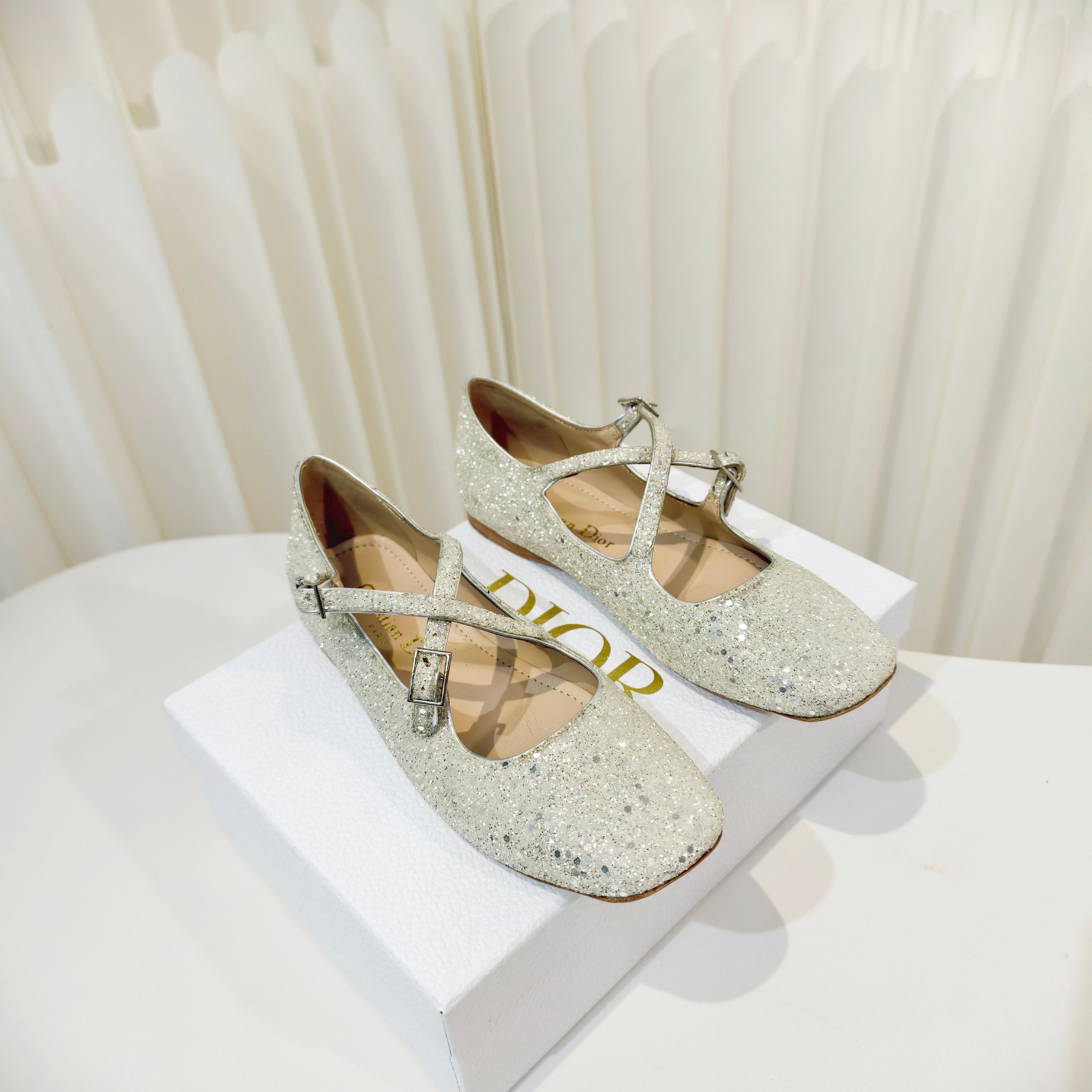 DIOR 26S MARY JANE FLATS IN SILVER SEQUIN EMBROIDERED FABRIC