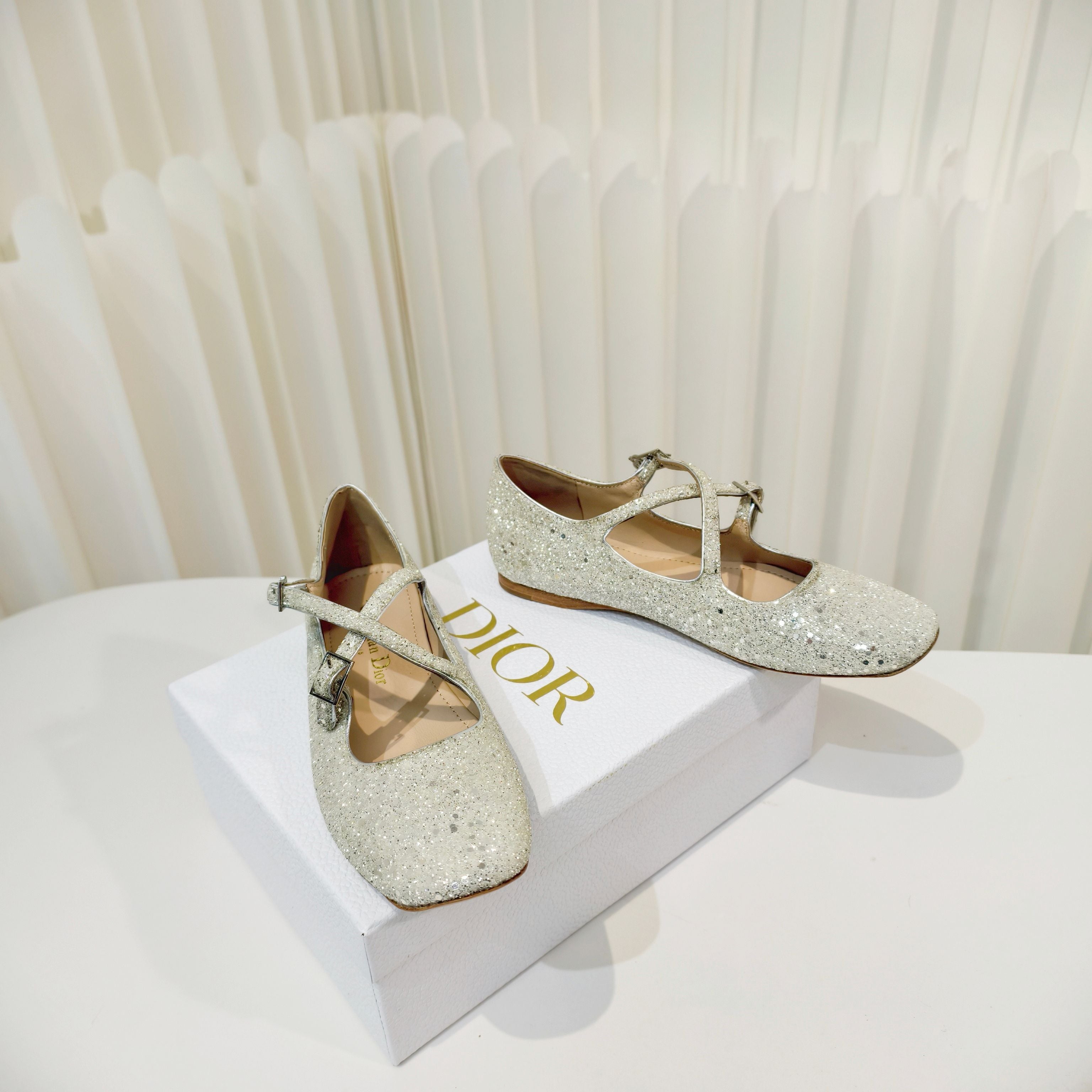 DIOR 26S MARY JANE FLATS IN SILVER SEQUIN EMBROIDERED FABRIC