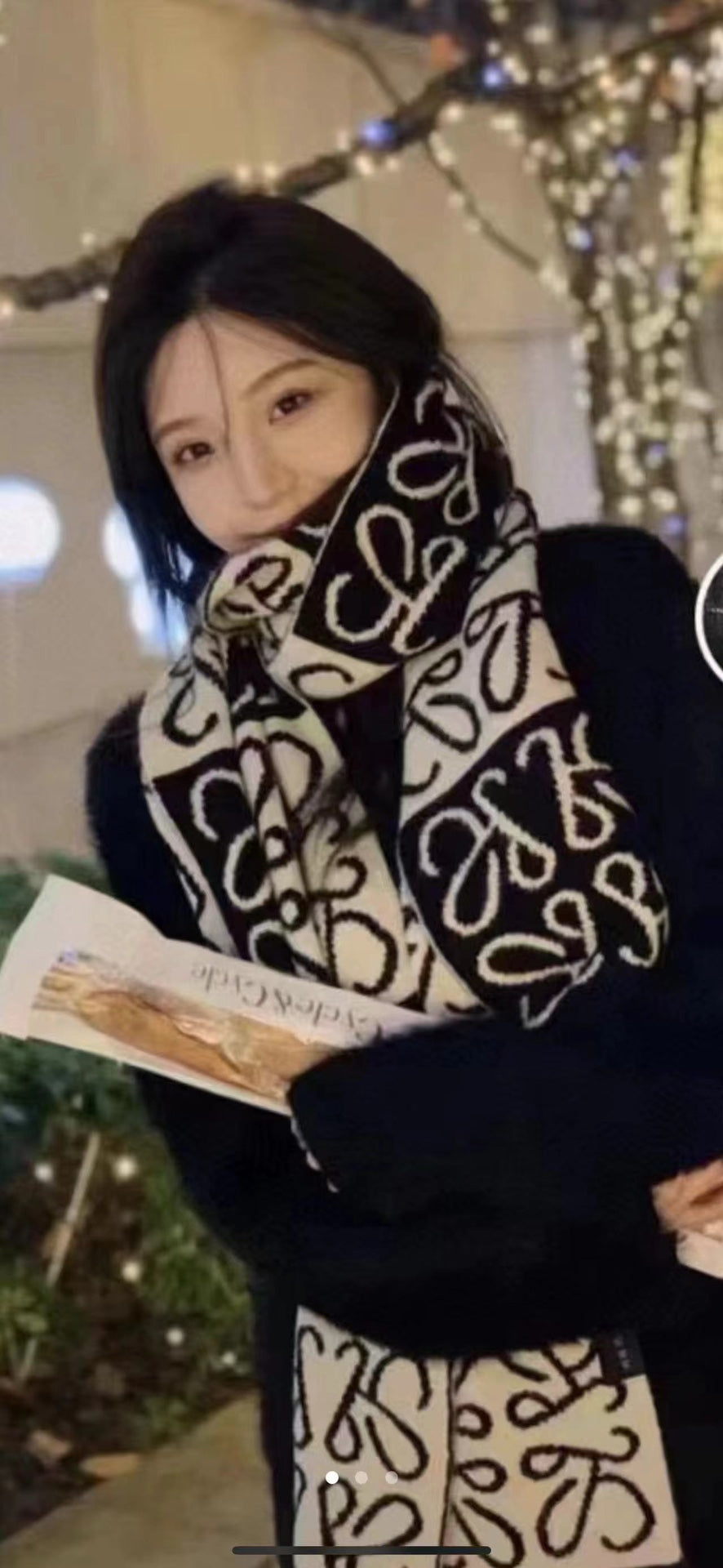 LOEWE 26S SCARF 190 IN CASHMERE 130196