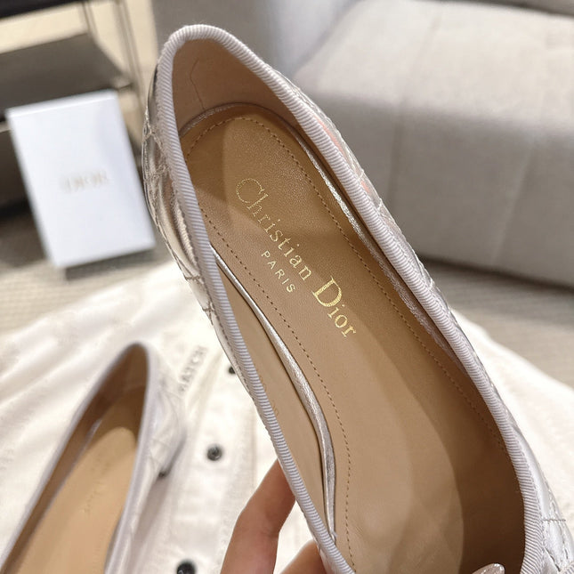 DIOR 26S LOW BLOCK HEEL PUMPS IN SILVER LAMBSKIN