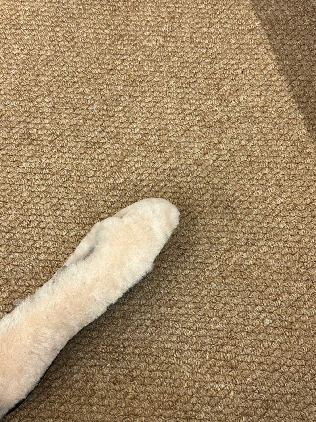 PRADA 26S SHEARLING BALLET FLATS IN CREAM WHITE