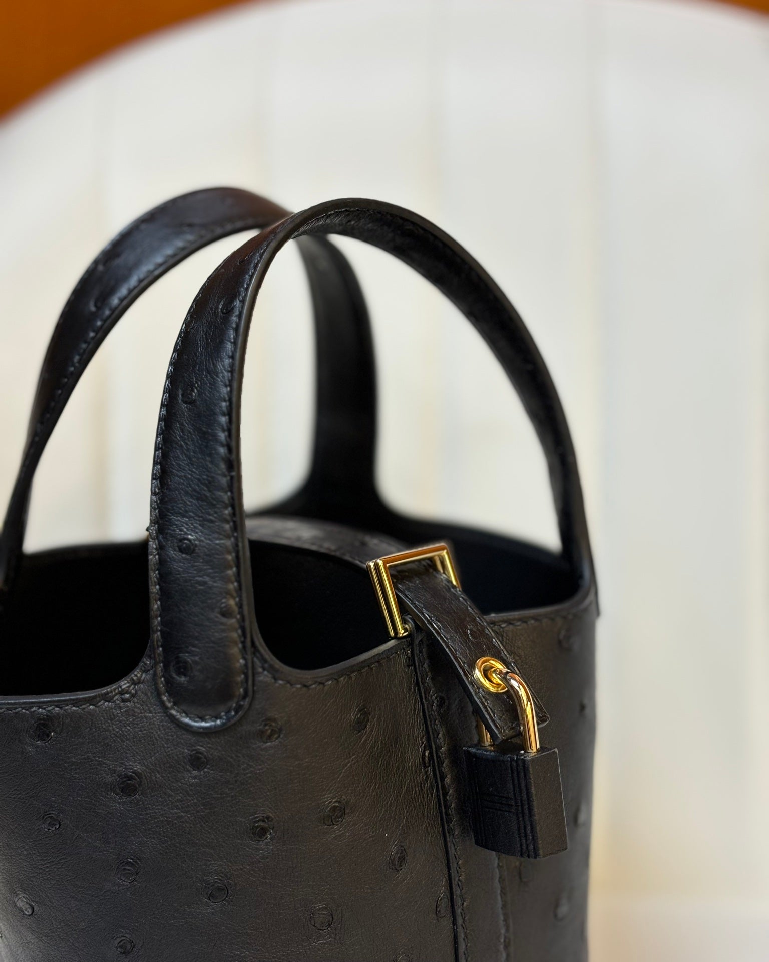 HM 25S PICOTIN LOCK 14 CM IN BLACK OSTRICH WITH GOLD HARDWARE