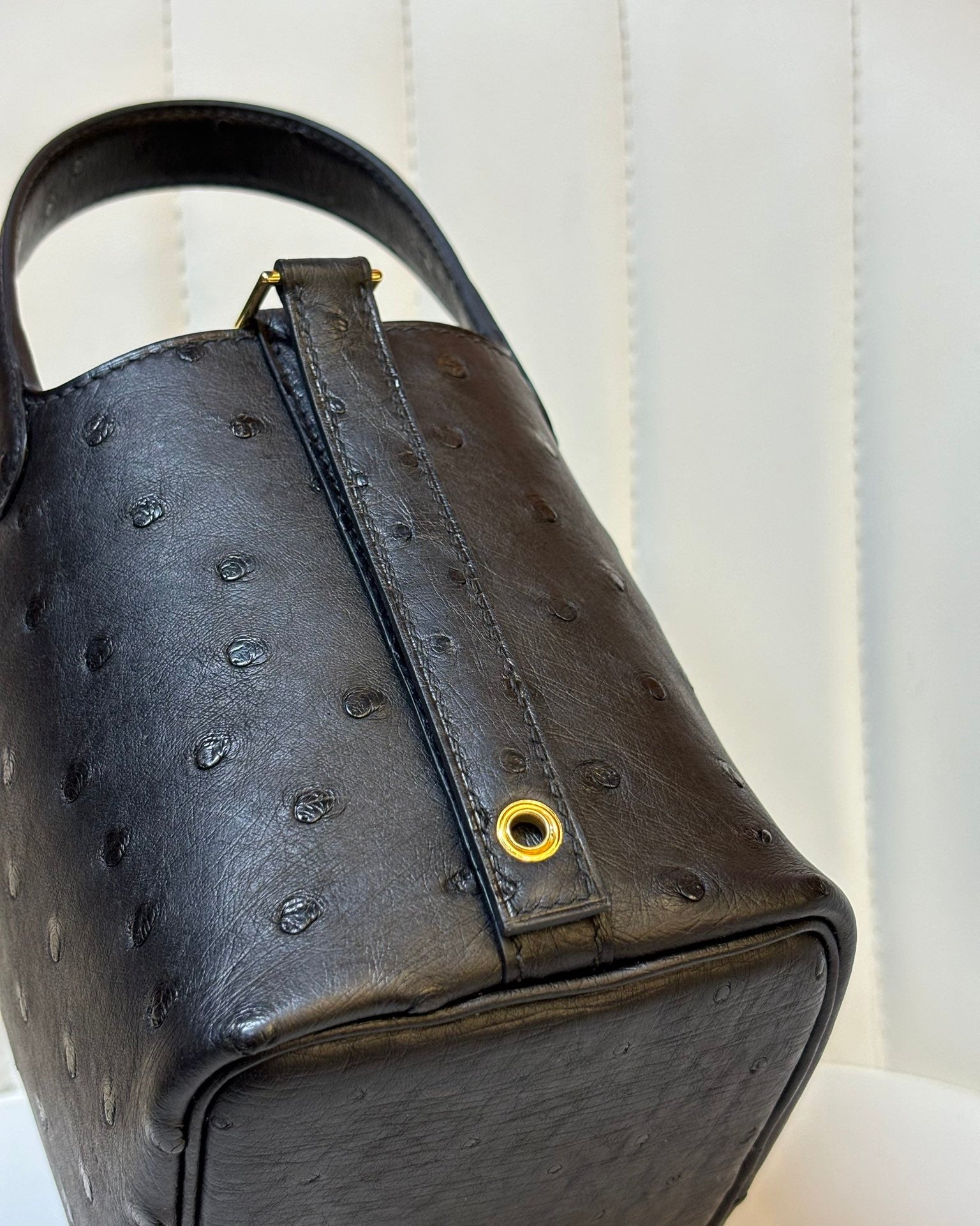 HM 25S PICOTIN LOCK 14 CM IN BLACK OSTRICH WITH GOLD HARDWARE