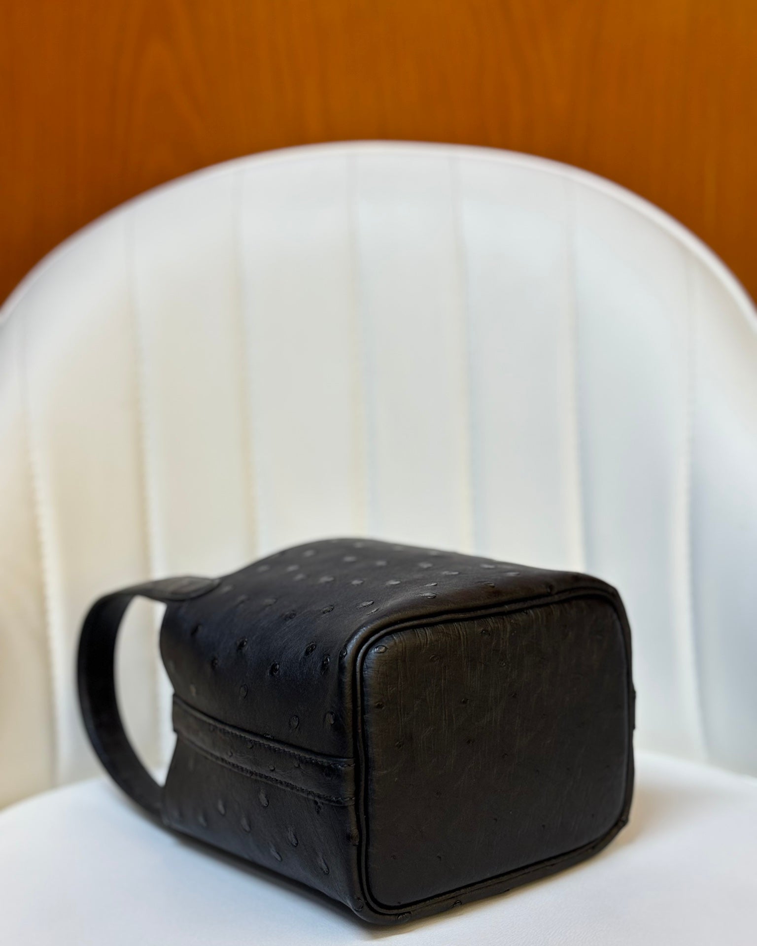HM 25S PICOTIN LOCK 14 CM IN BLACK OSTRICH WITH GOLD HARDWARE