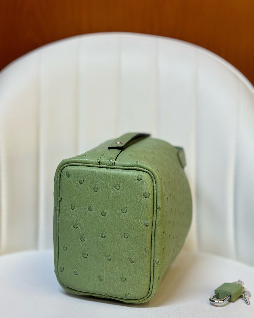 HM 25S PICOTIN LOCK 14 CM IN OLIVE GREEN OSTRICH WITH SILVER HARDWARE