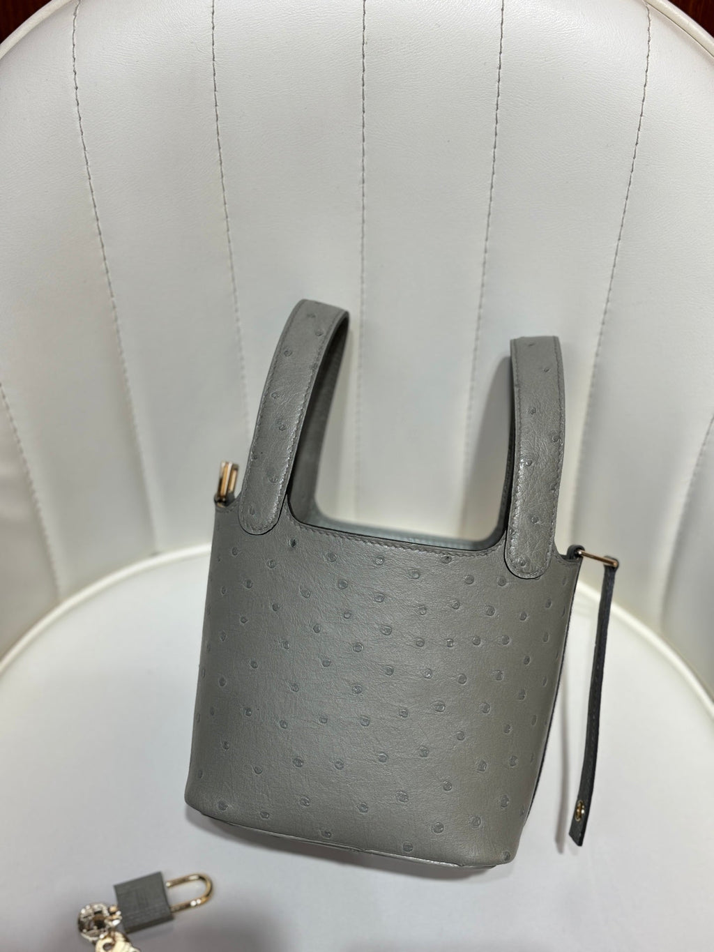 HM 25S PICOTIN LOCK 14 CM IN GREY OSTRICH WITH GOLD HARDWARE
