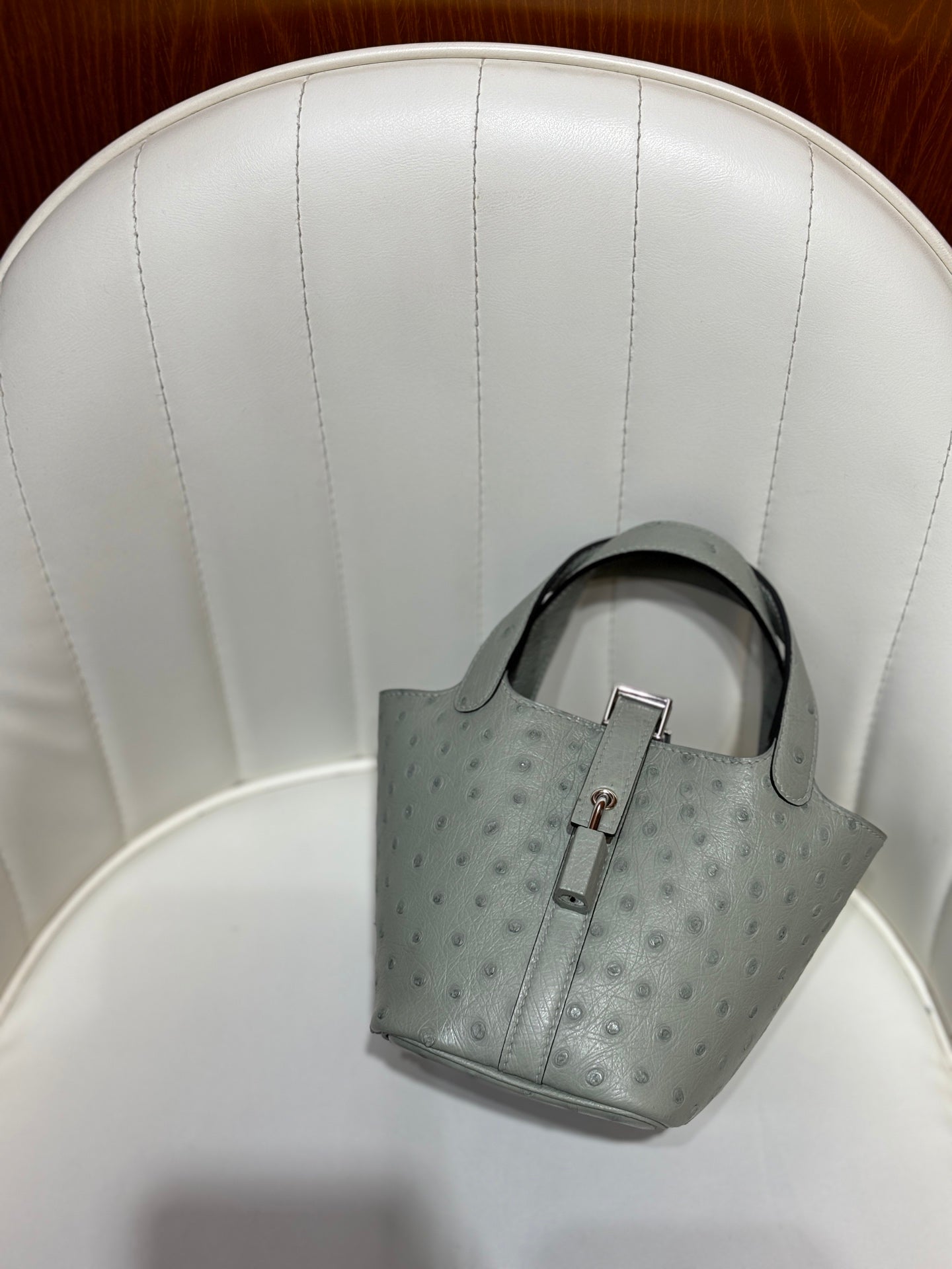 HM 25S PICOTIN LOCK 14 CM IN GREY OSTRICH WITH SILVER HARDWARE