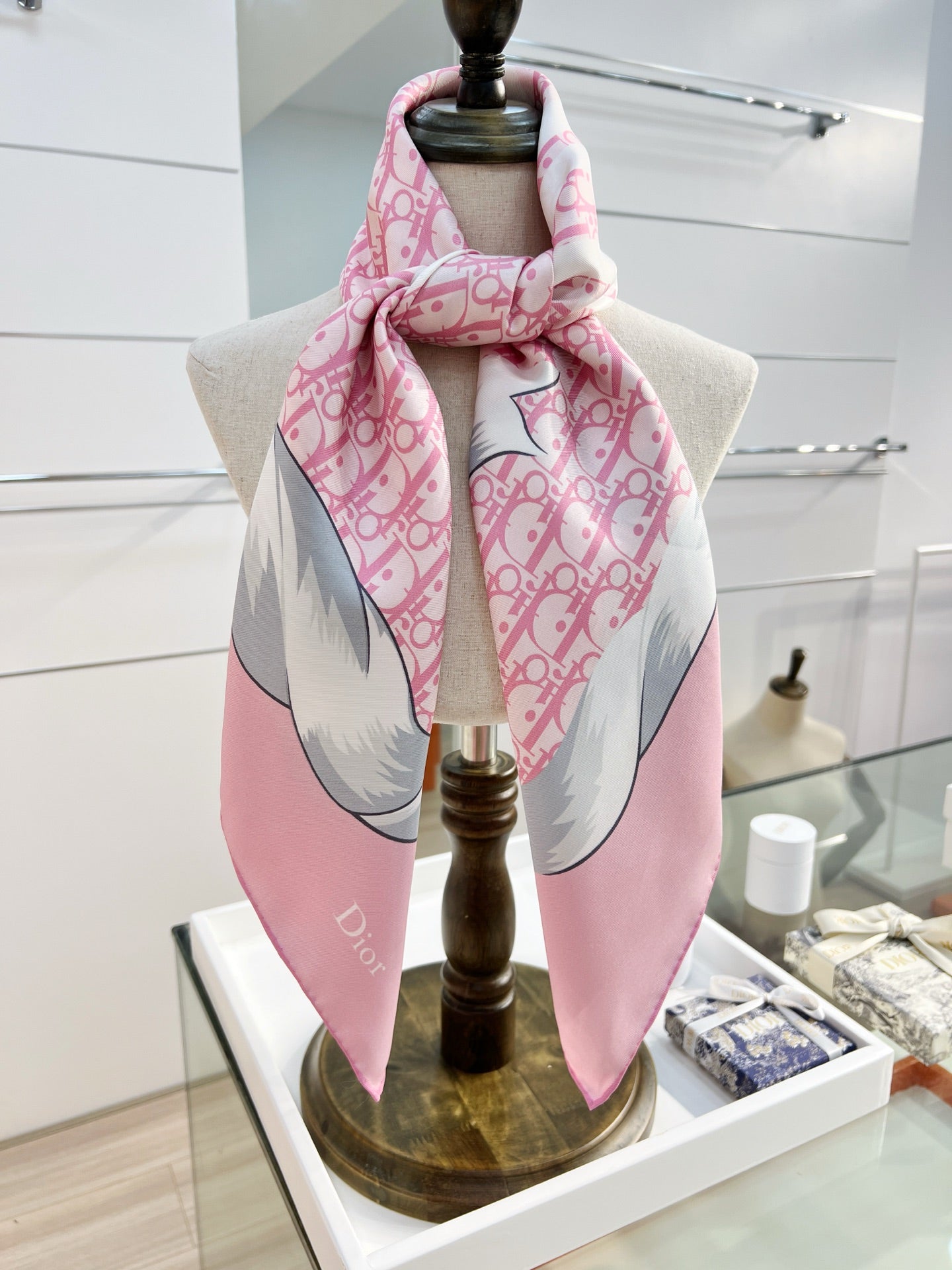 DIOR 26S SCARF 90CM IN SILK 163868