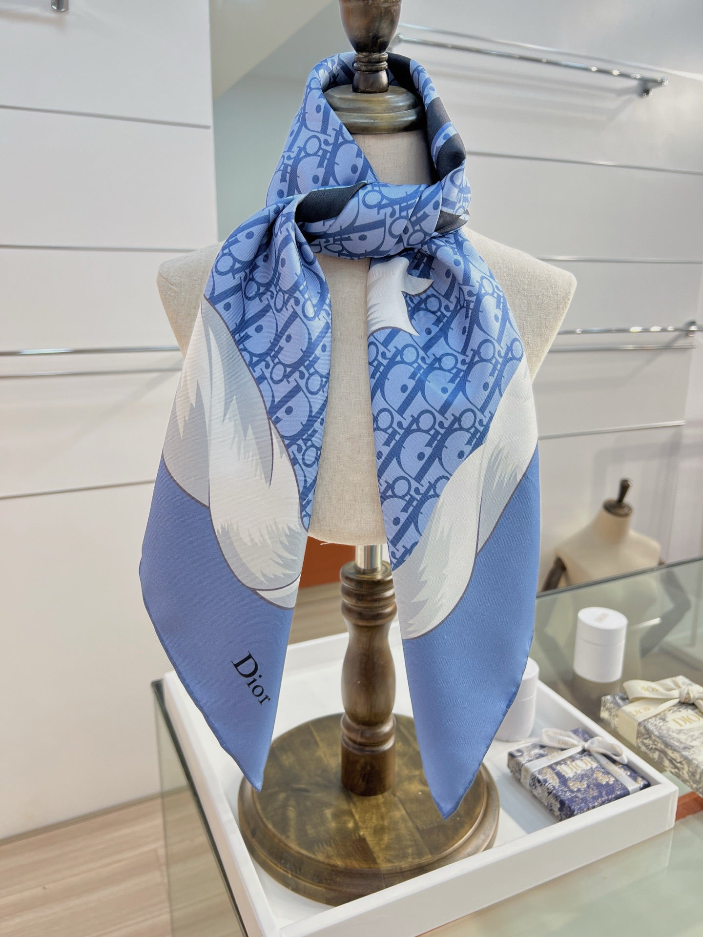 DIOR 26S SCARF 90CM IN SILK 163869