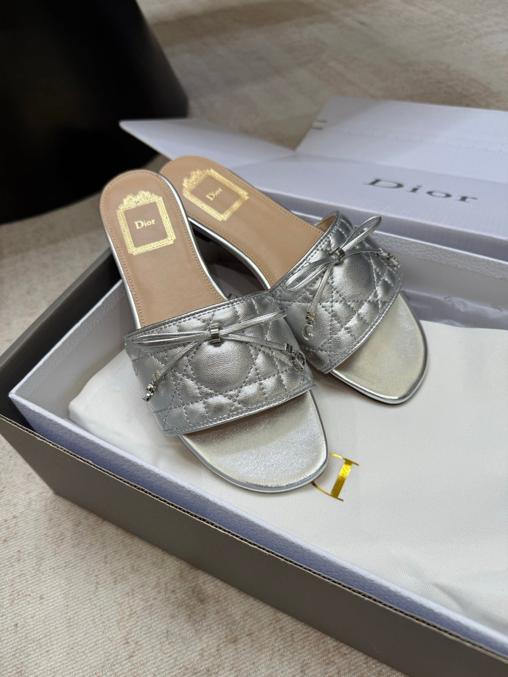 DIOR 26S DWAY CANNAGE SLIDE IN SILVER LAMBSKIN