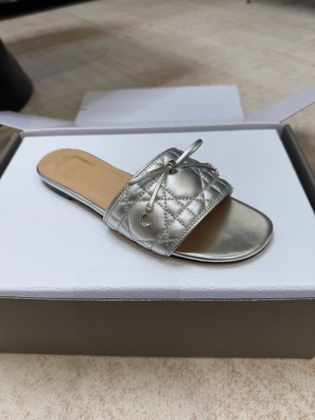 DIOR 26S DWAY CANNAGE SLIDE IN SILVER LAMBSKIN