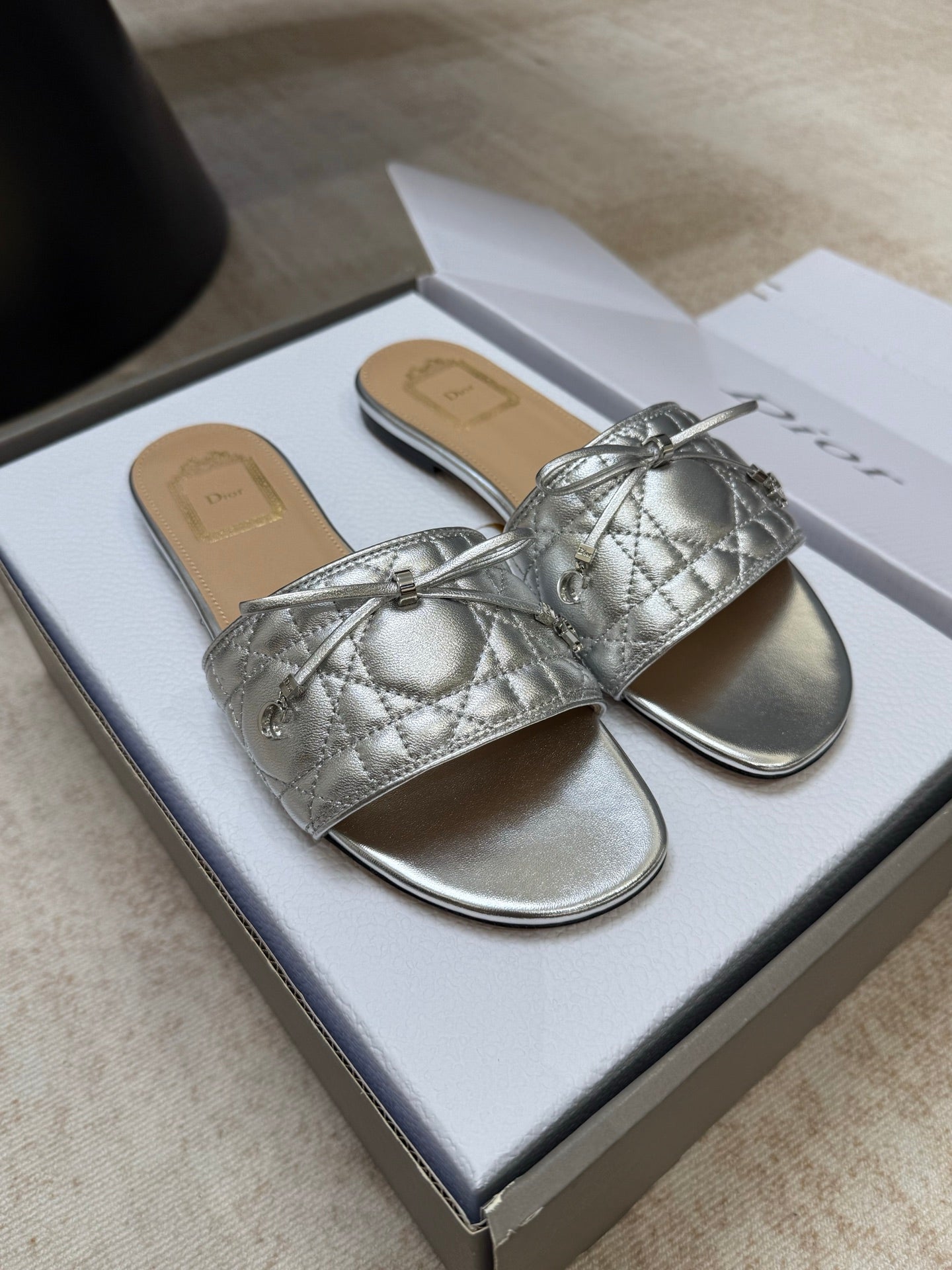 DIOR 26S DWAY CANNAGE SLIDE IN SILVER LAMBSKIN