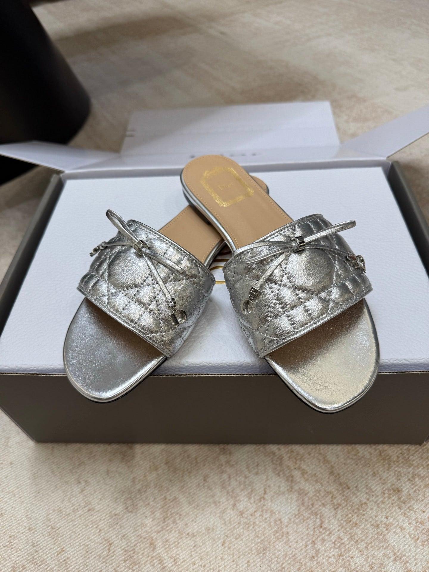 DIOR 26S DWAY CANNAGE SLIDE IN SILVER LAMBSKIN
